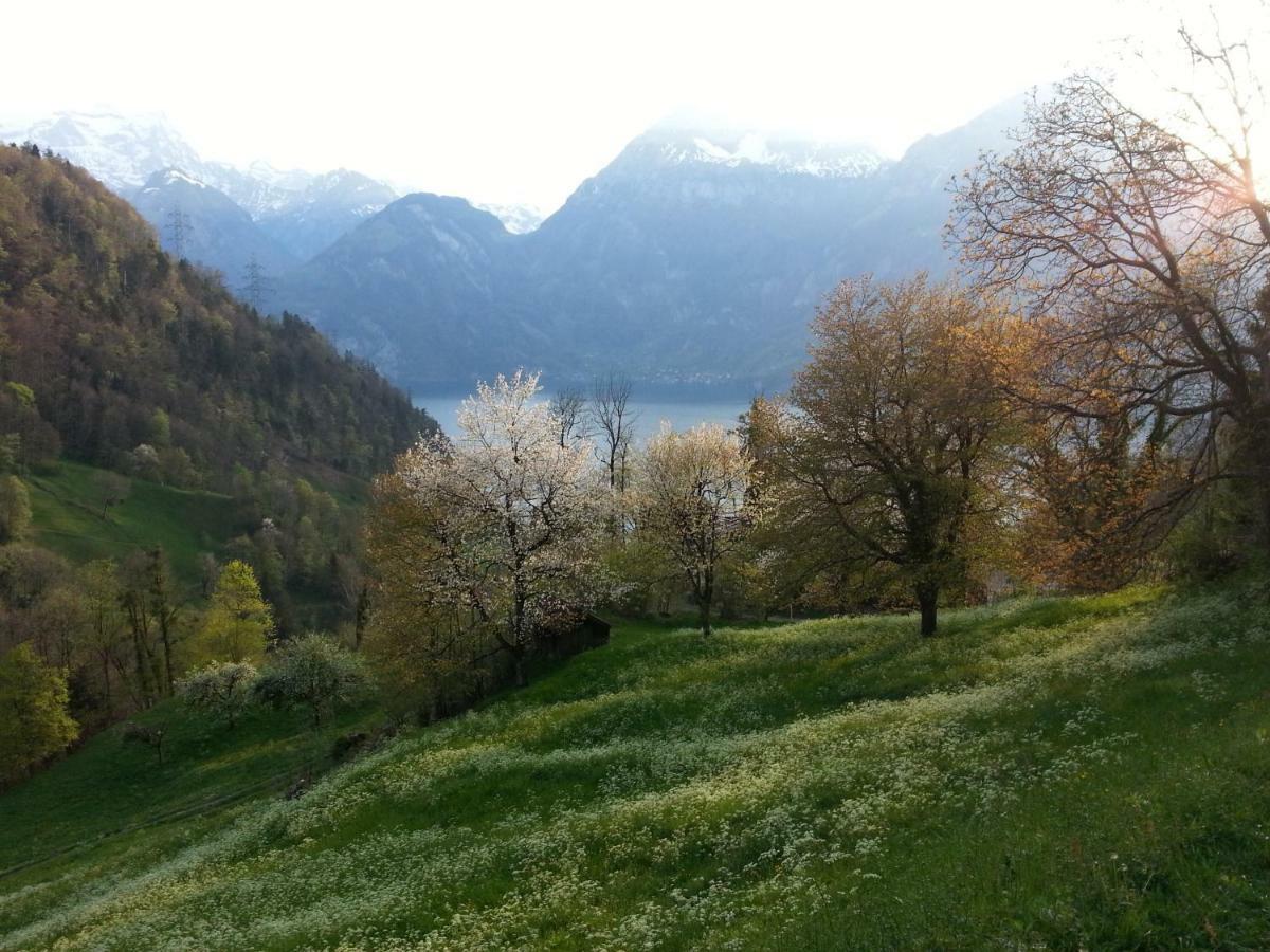 Panorama Jurte Ueber Dem Uri-See A Sisikon Exteriör bild