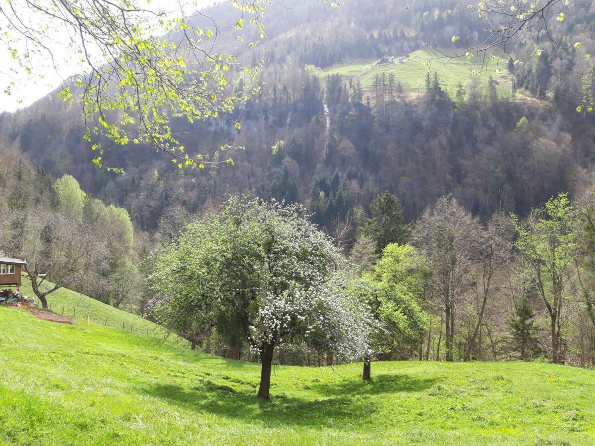 Panorama Jurte Ueber Dem Uri-See A Sisikon Exteriör bild