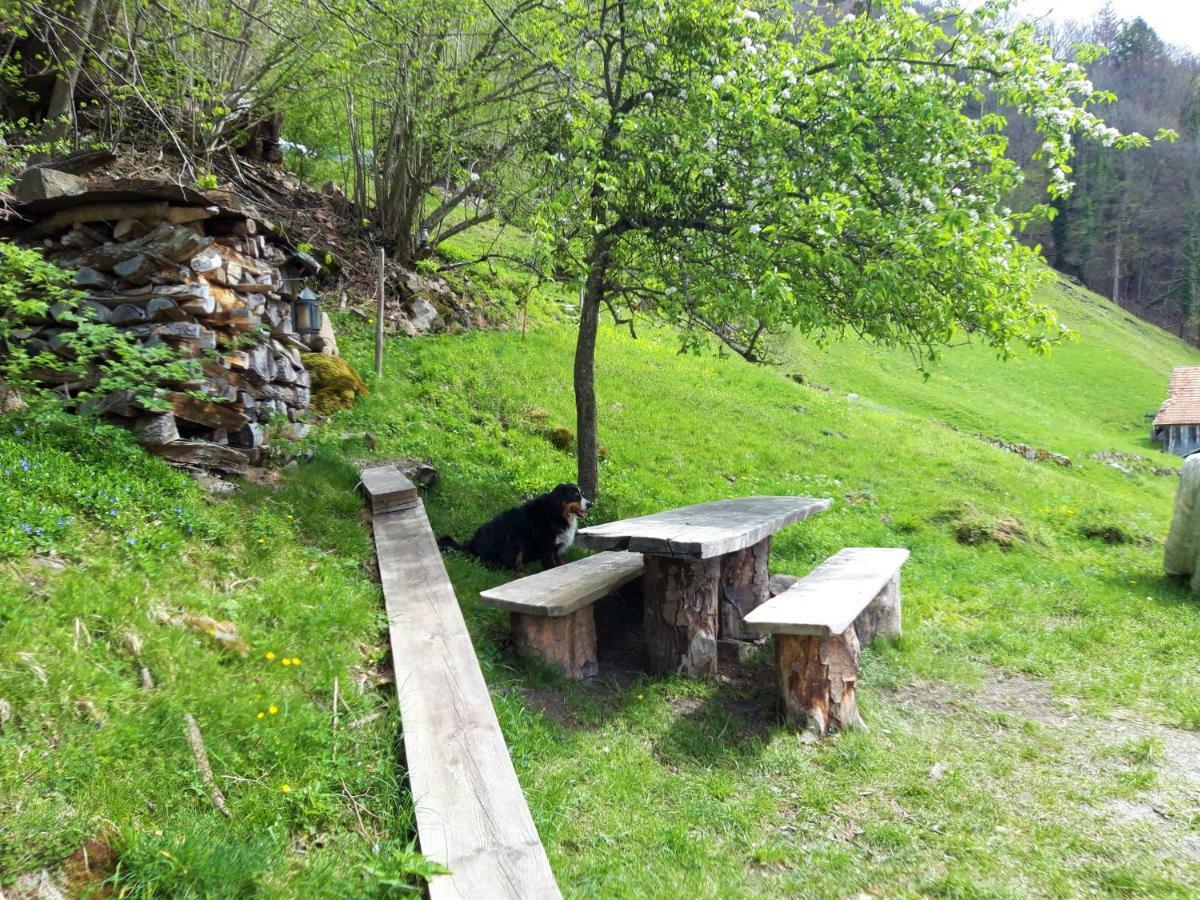 Panorama Jurte Ueber Dem Uri-See A Sisikon Exteriör bild